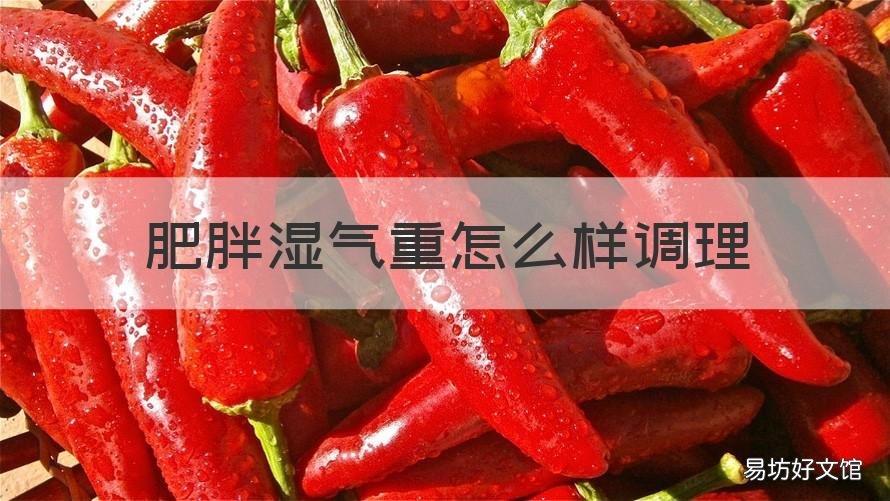 肥胖湿气重怎么样调理 肥胖湿气重怎么办