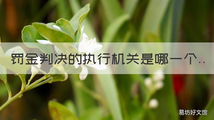 罚金判决的执行机关是哪一个 罚金判决由谁负责执行