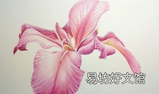 彩铅画法教程 彩铅画法教程视频