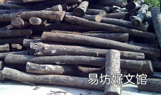 樟木的功效与作用 黄金樟木的功效与作用