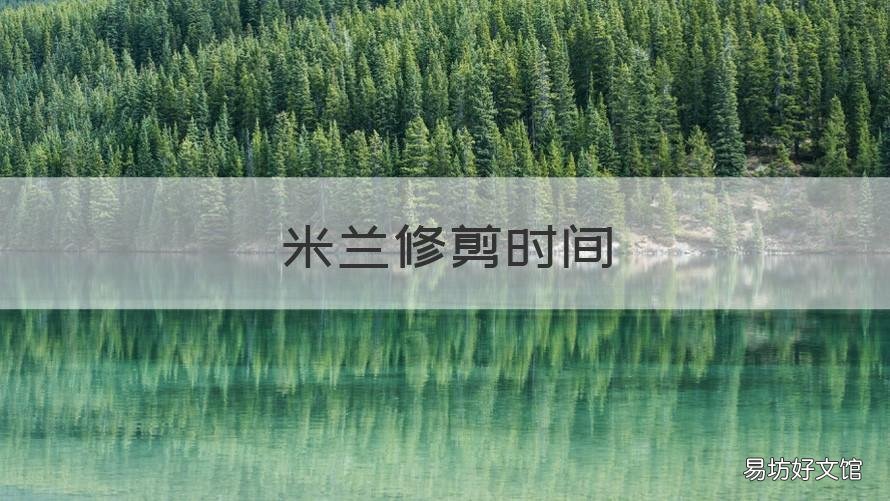 米兰修剪时间 米兰何时修剪