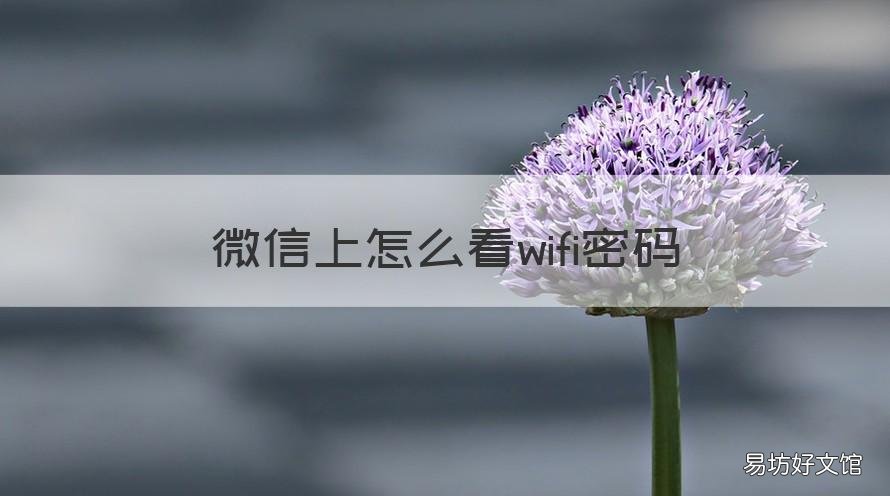 微信上怎么看wifi密码 微信里怎么看wifi密码