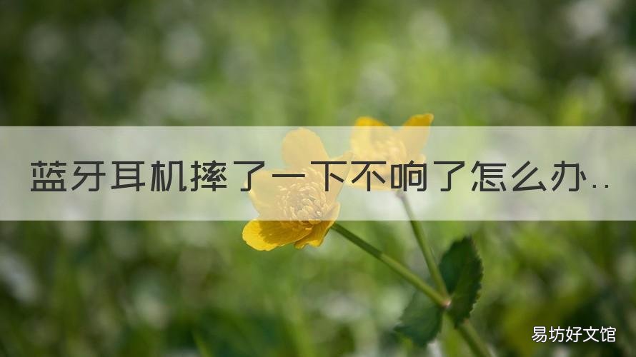 蓝牙耳机摔了一下不响了怎么办 蓝牙耳机摔了一下没事吧