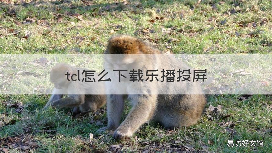 tcl怎么下载乐播投屏 tcl如何安装乐播投屏