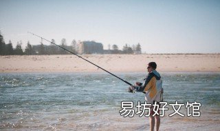 淡水鲳鱼怎么钓 淡水鲳鱼怎么钓视频