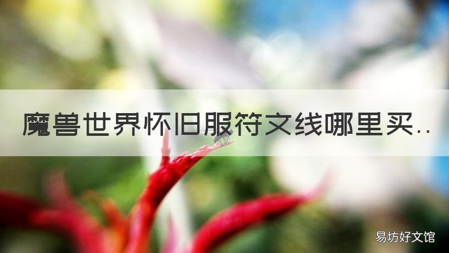 魔兽世界怀旧服符文线哪里买 魔兽世界怀旧服符文线怎么获得