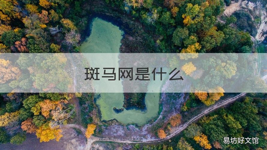 斑马网是什么 斑马网络官网