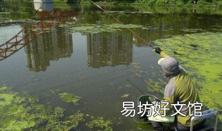 秋天用什么开钓 秋天阴天钓鱼怎么钓