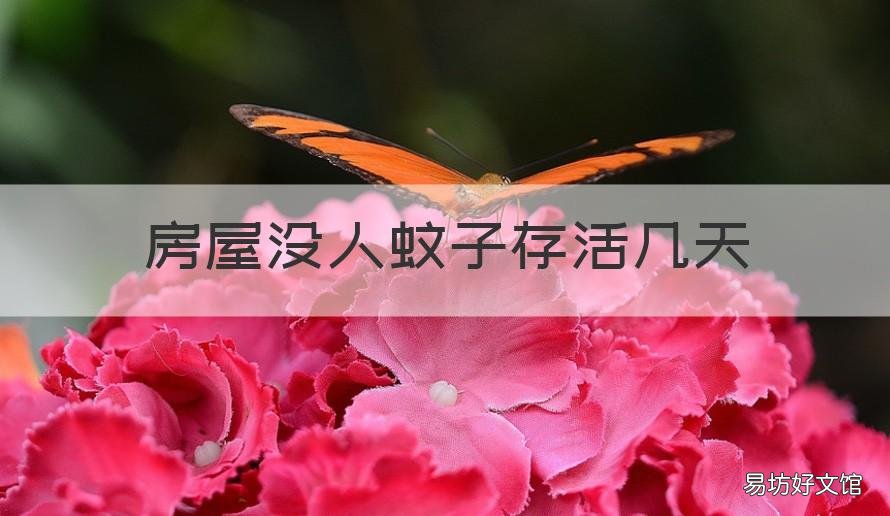 房屋没人蚊子存活几天 蚊子在没人的地方多久会死
