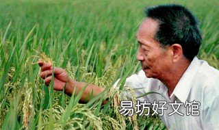 袁降平是哪里人 袁降平的儿子