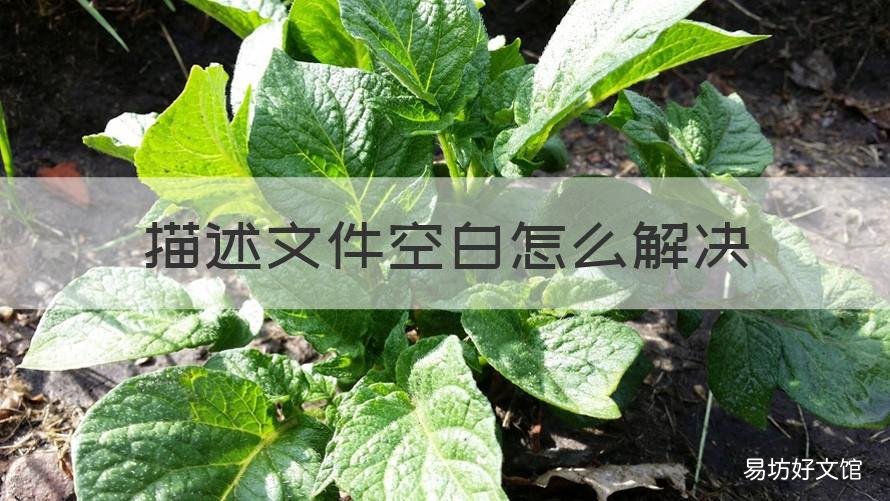 描述文件空白怎么解决 空白文件怎么弄