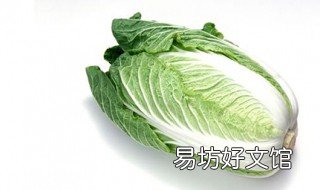 白菜种植时间和方法 速生白菜种植时间和方法