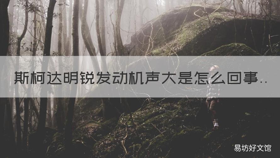 斯柯达明锐发动机声大是怎么回事 斯柯达明锐发动机噪音大问题得不到解决
