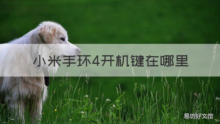 小米手环4开机键在哪里 小米手环4如何开关机