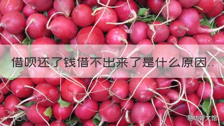 借呗还了钱借不出来了是什么原因 借呗还了钱借不出来了是什么意思