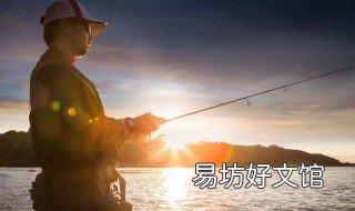 面粉加香油能做鱼饵吗 用面粉和香油能不能做鱼饵
