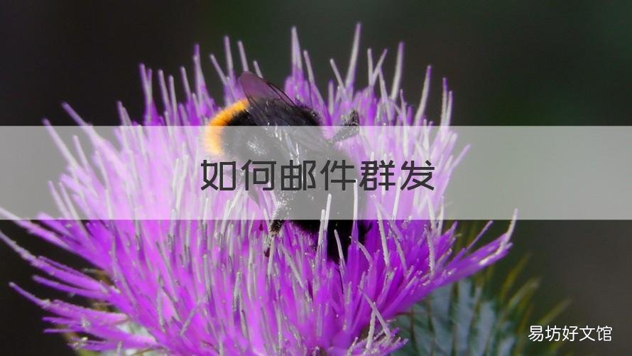 如何邮件群发 如何邮件群发给别人