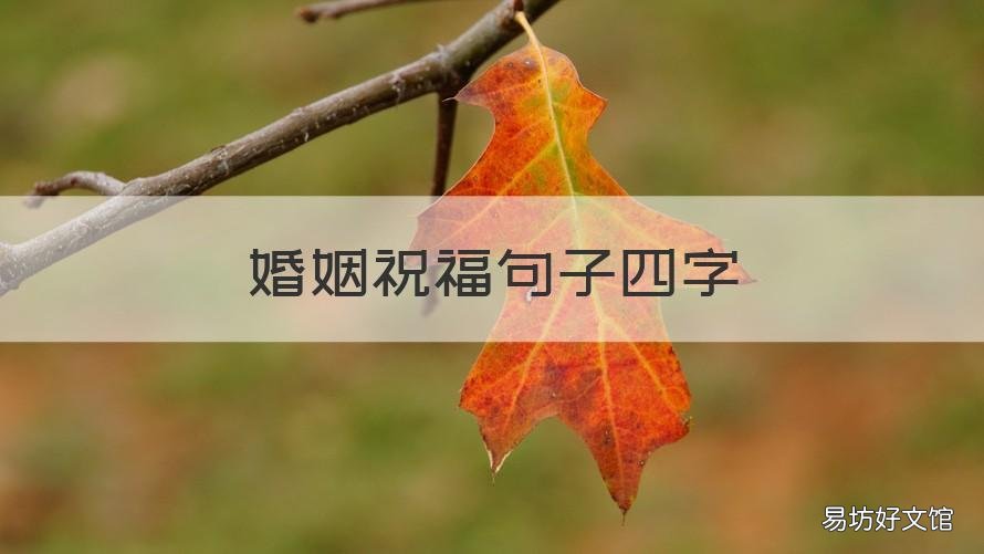 婚姻祝福句子四字 祝福婚姻的四字词语