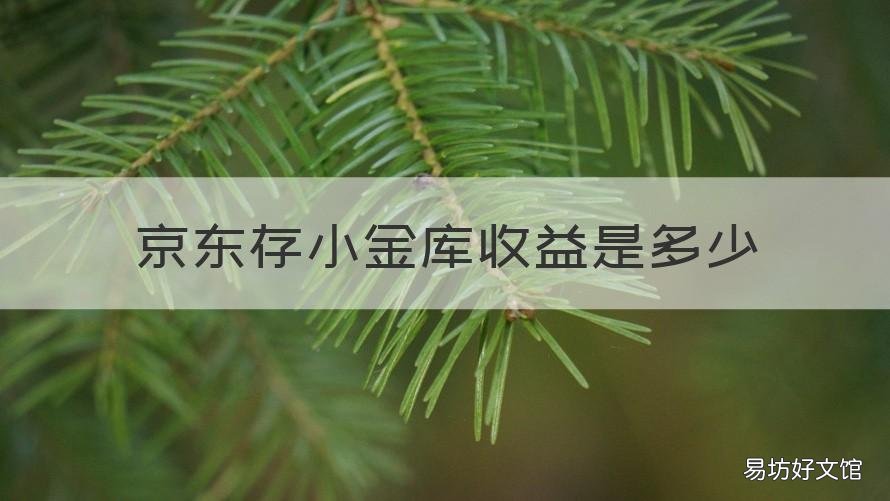 京东存小金库收益是多少 京东小金库存钱有收益吗