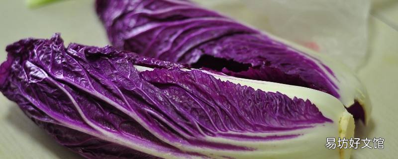 紫色白菜是什么菜 紫色白菜是什么菜名