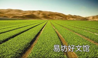农业信息化是在农业的什么领域 农业信息化是在农业的什么领域进行