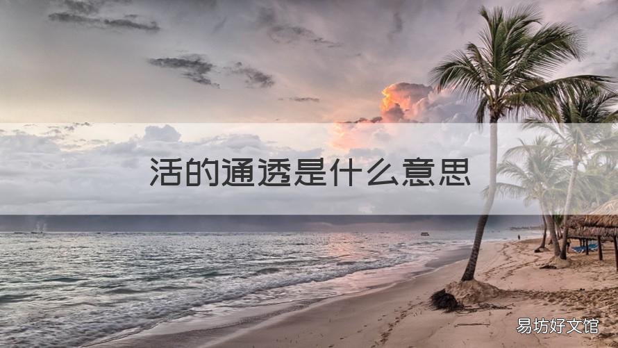 活的通透是什么意思