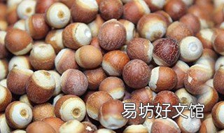 鸡斗米的功效和吃法 鸡斗米怎么做好吃法