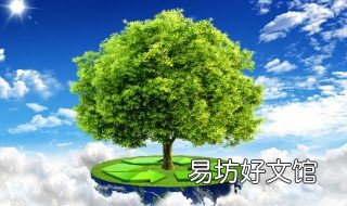 非法砍树怎么判刑 砍树算违法吗