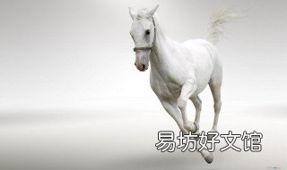 知书达理天下行是什么生肖 知书而达理的意思