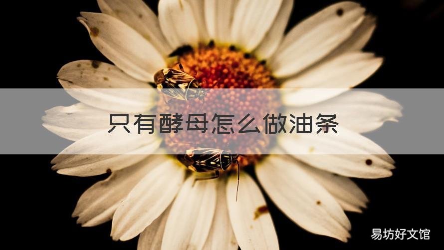 只有酵母怎么做油条 酵母能不能做油条
