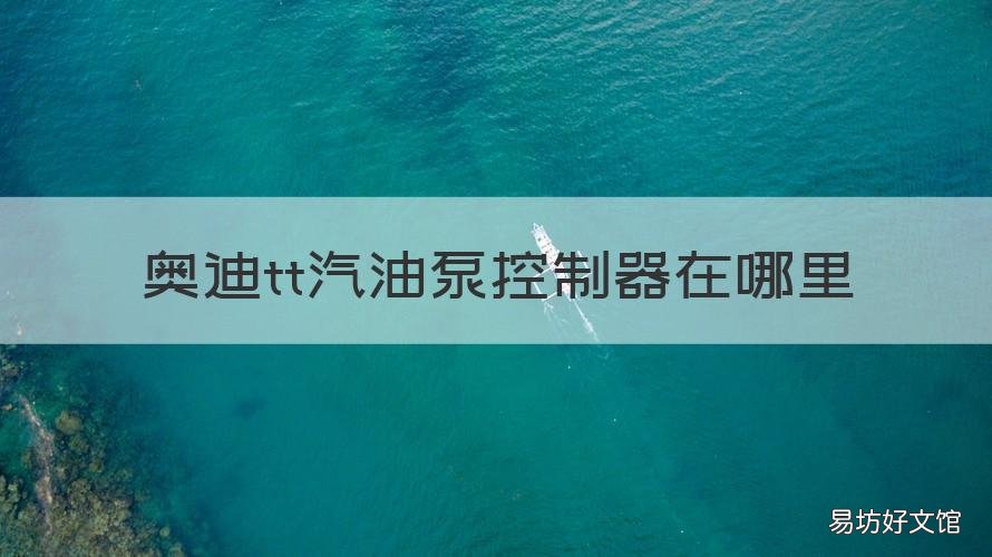 奥迪tt汽油泵控制器在哪里 奥迪tt汽油泵控制器在哪里换