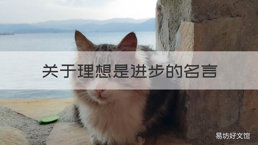 关于理想是进步的名言 关于理想是进步的名言名句