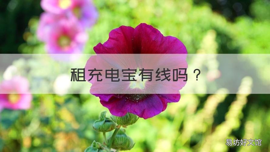 租充电宝有线吗 租的充电宝需要充电线