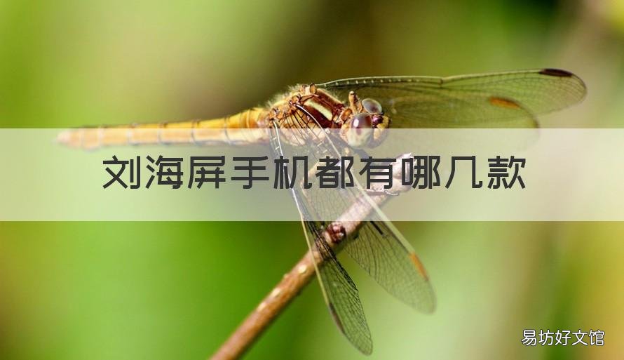 刘海屏手机都有哪几款 刘海屏手机都有哪几款2021