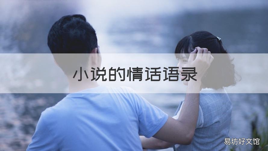 小说的情话语录 小说言情经典语录