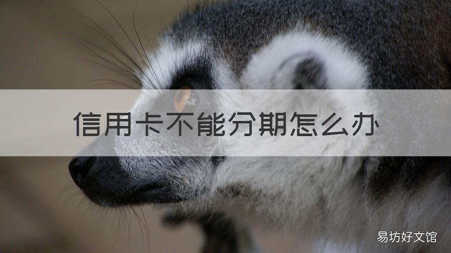 信用卡不能分期怎么办 信用卡无法分期