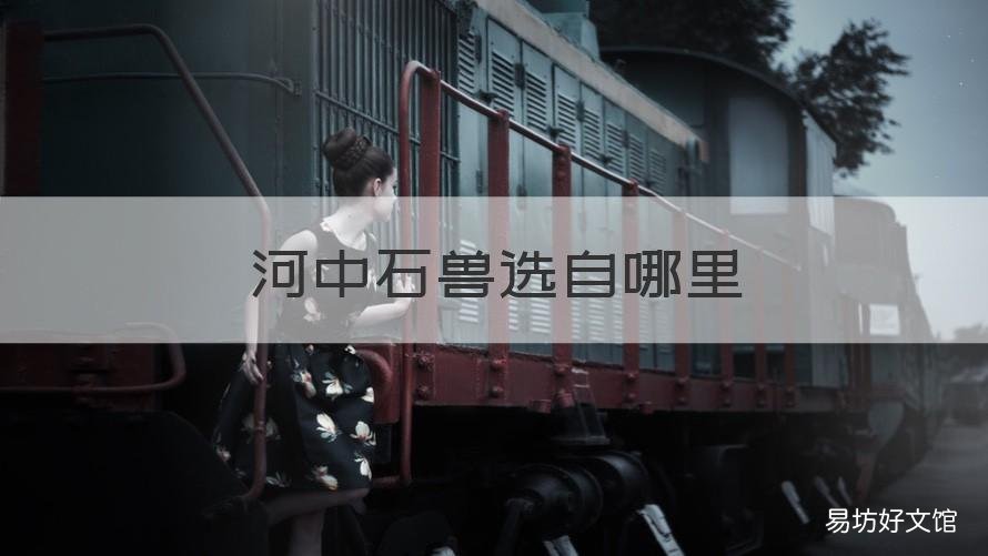 河中石兽选自哪里 河中石兽,选自