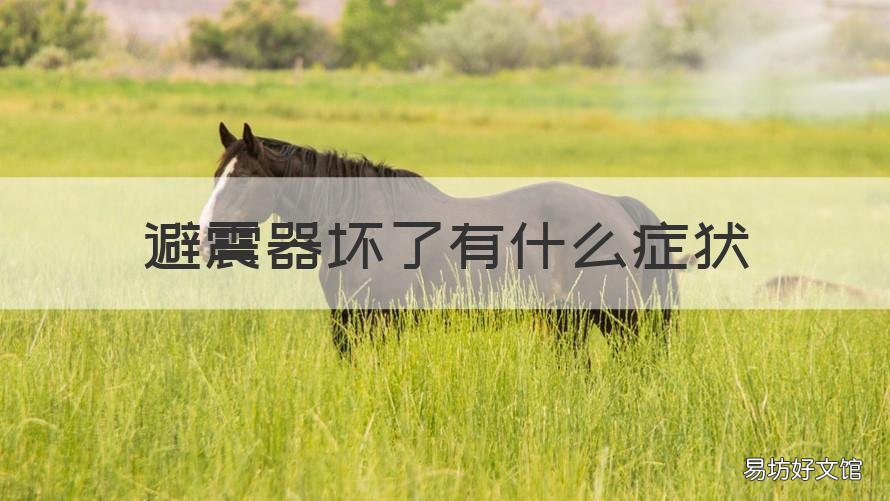 避震器坏了有什么症状 避震器坏了有什么症状吗