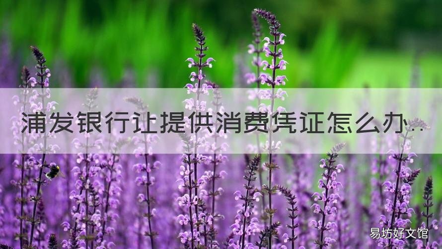 浦发银行让提供消费凭证怎么办 浦发银行上传消费凭证的操作
