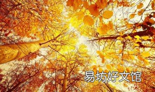 秋天发朋友圈的句子 秋天发朋友圈的句子 心情短句