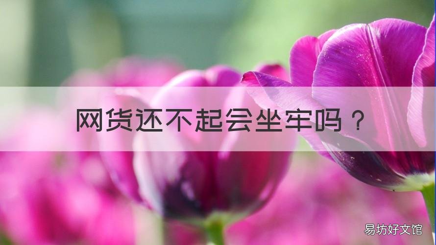网货还不起会坐牢吗 网货不还后果严重吗
