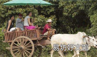 农村四大舒服是什么 农村四大俗语四大舒服