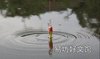 路亚假饵使用教程 路亚假饵使用教程视频