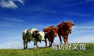 明天最好的生肖 明天什么生肖最旺