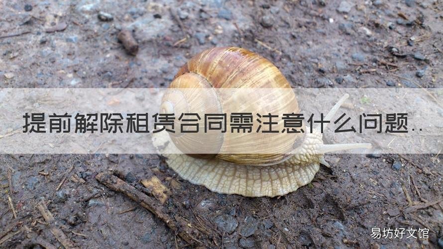提前解除租赁合同需注意什么问题 解除租赁合同需要注意什么