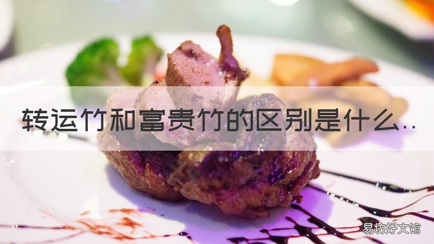 转运竹和富贵竹的区别是什么 转运竹属于富贵竹吗