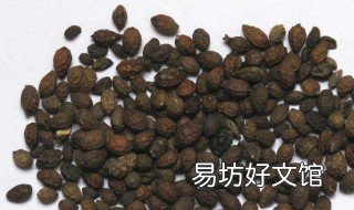 鸦胆子治疣的方法 鸦胆子治疣的方法有哪些