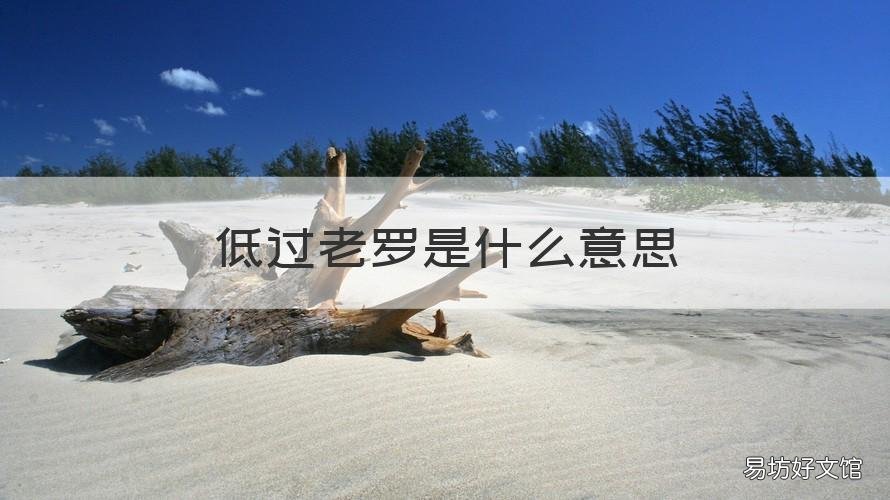 低过老罗是什么意思 你是老罗吗?