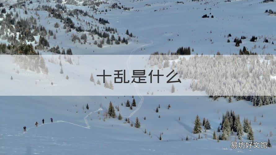 十乱是什么 十乱整治指的是什么