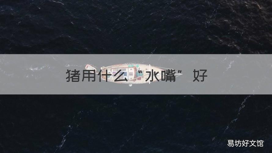 猪用什么“水嘴”好 猪用水嘴哪种好